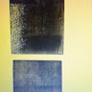 Meet your Posher, Dodgeram